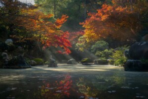 Zen Garden: Discovering Inner Peace Through Tranquil Landscapes